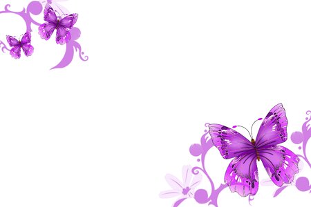 Purple background Free illustrations