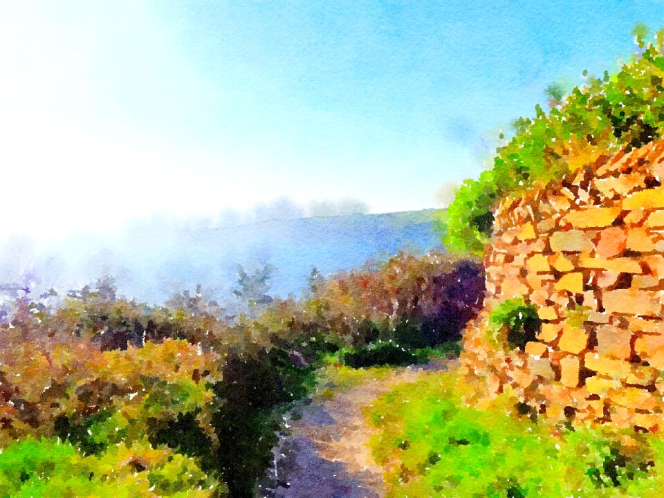 Scene scenic picturesque