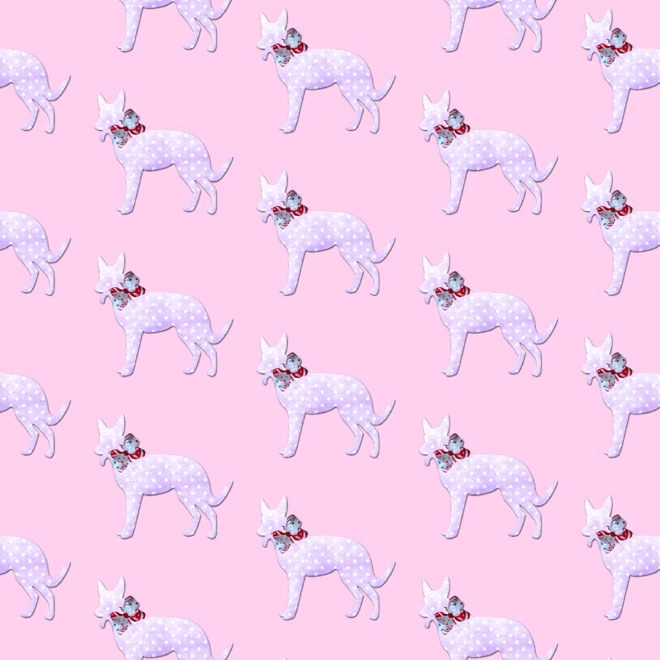 Animal cute mammal