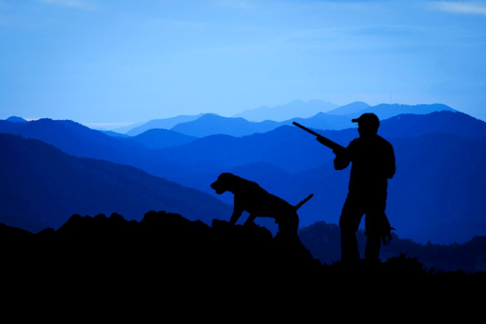 Bird bird hunting blood sport