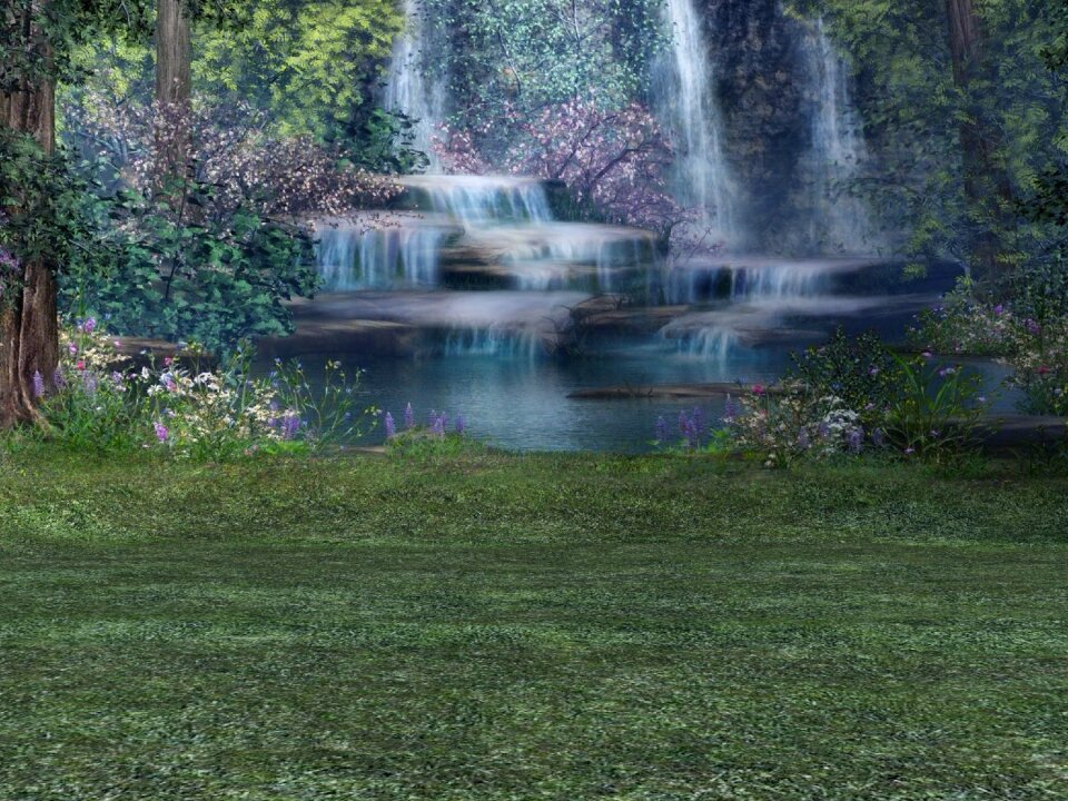 Grass meadow light