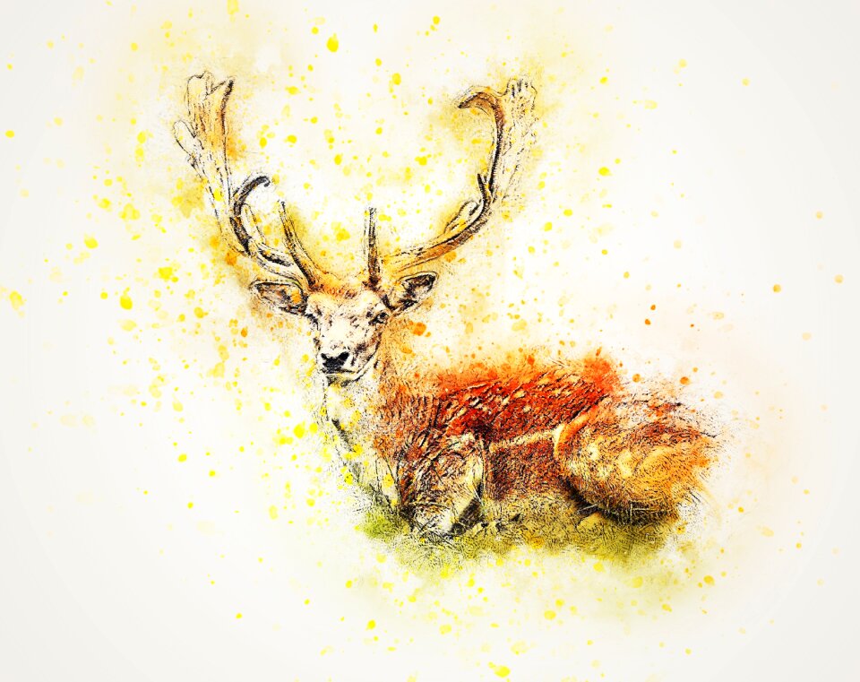 Animal abstract watercolor