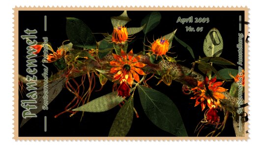 Stamp compendiums Free illustrations