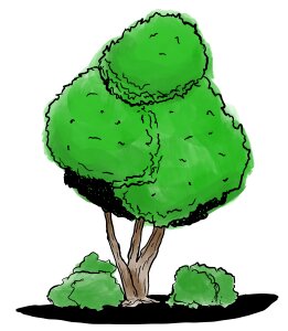 Art graphic plant