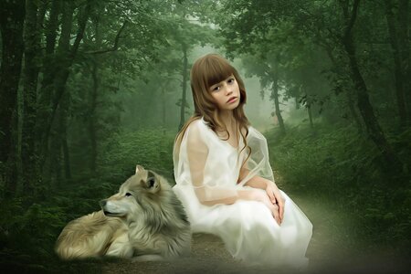 Wolf girl and wolf dark