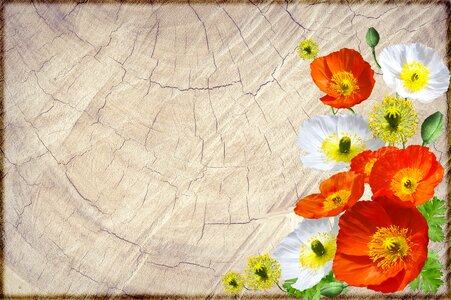 Timber wood grain Free illustrations