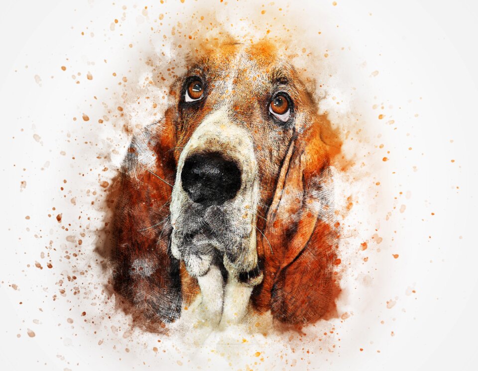 Art abstract watercolor
