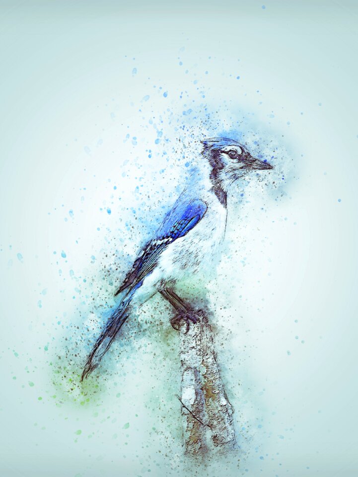 Art animal nature