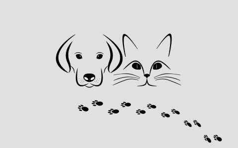 Paws background Free illustrations
