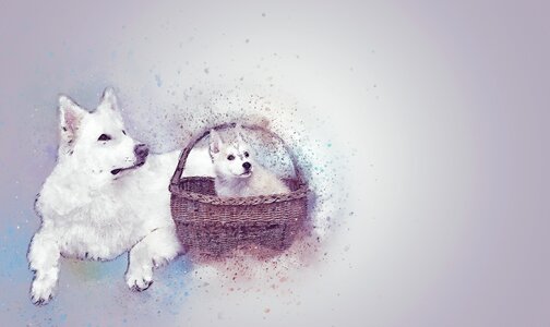 White basket art