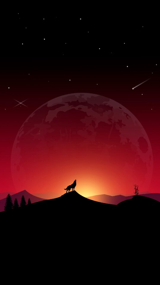 Space nature fox