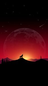 Space nature fox