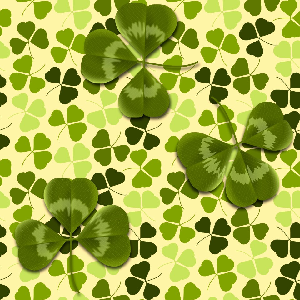 Texture green leaves