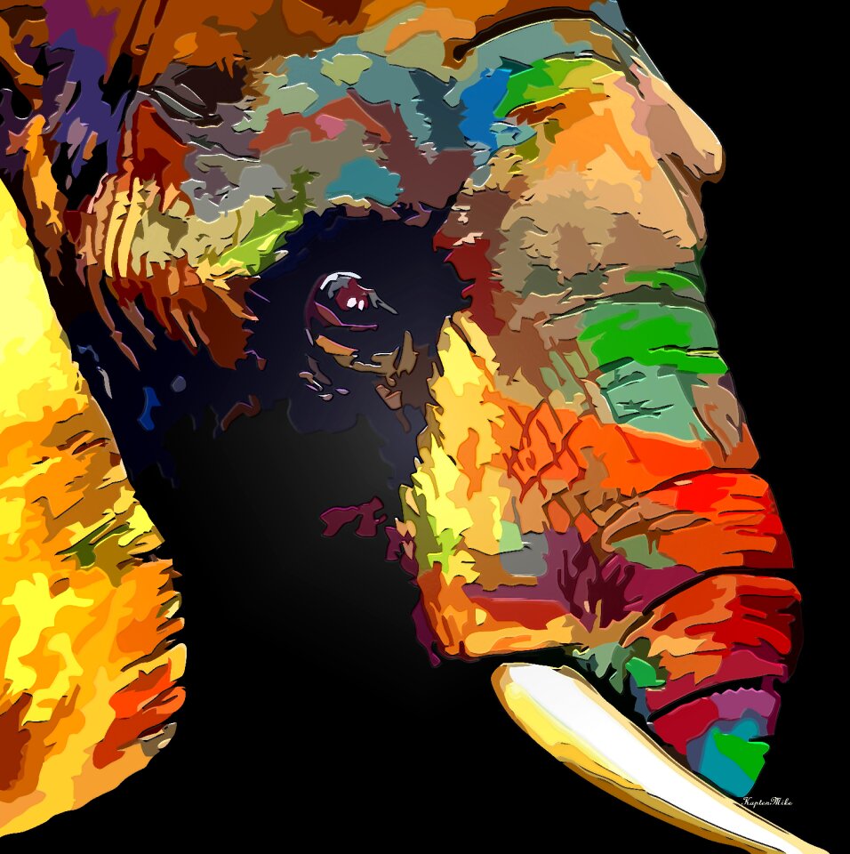 Colour animal wildlife