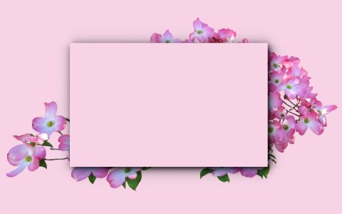 Decoration invitation pink flower