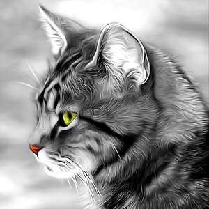 Portrait fur cute
