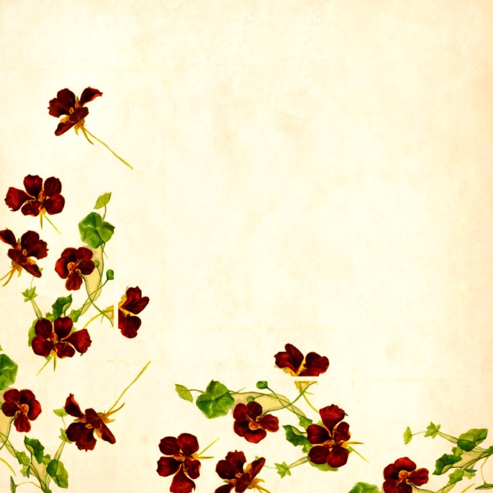 Roses bouquet floral