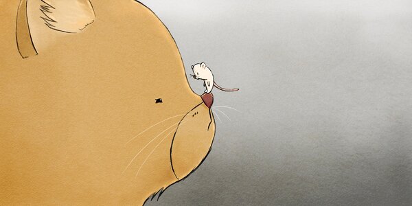 Mouse animal kitten