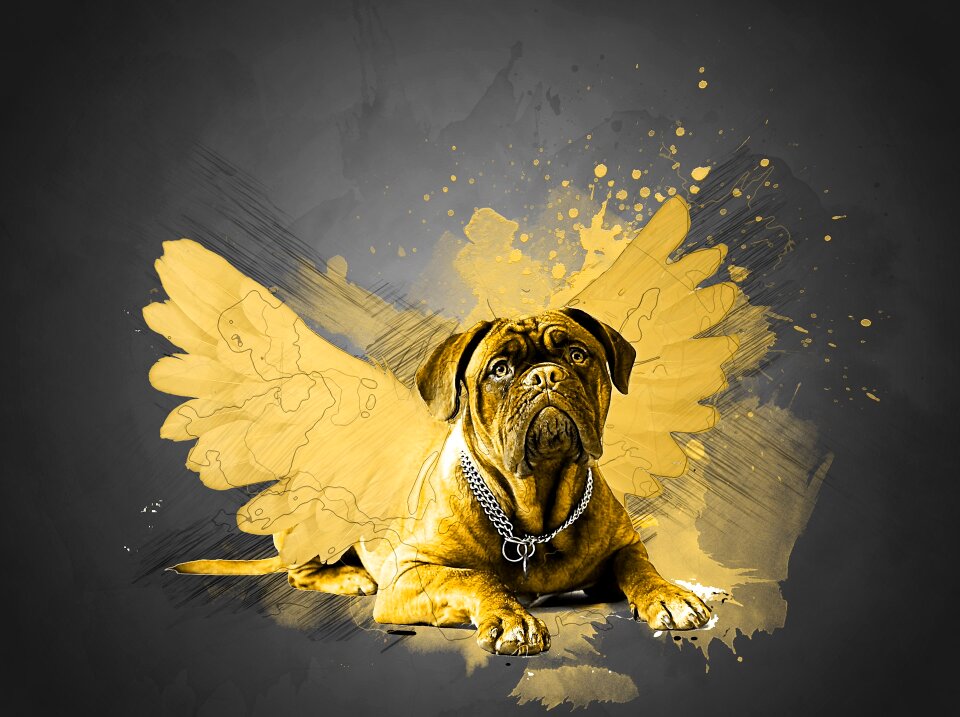 Love yellow animal