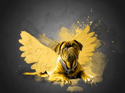Love yellow animal