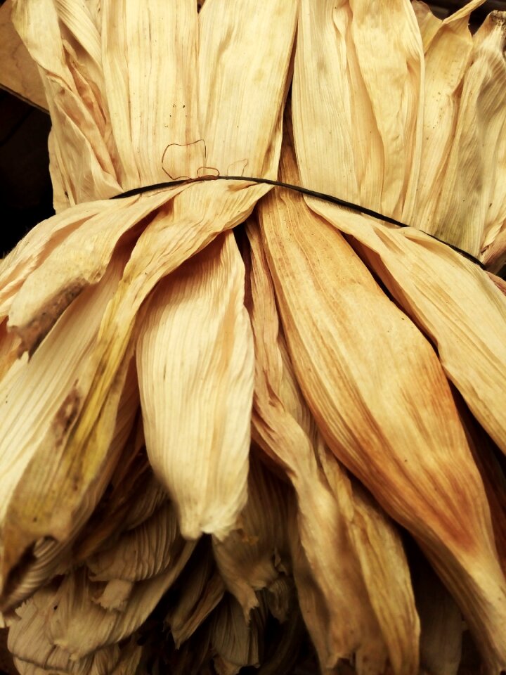 Dried leaves tamale leaves for tamale