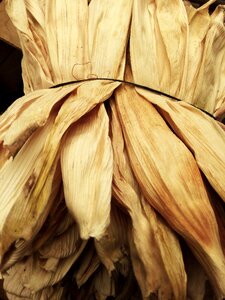 Dried leaves tamale leaves for tamale