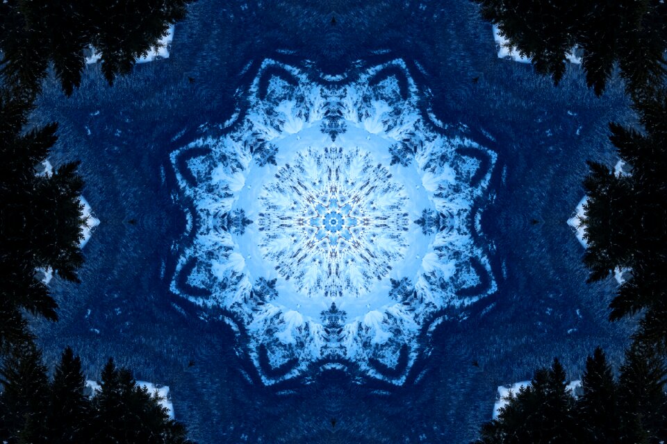 Ornament fantasy nature