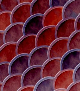 Ceramic tiles scallops