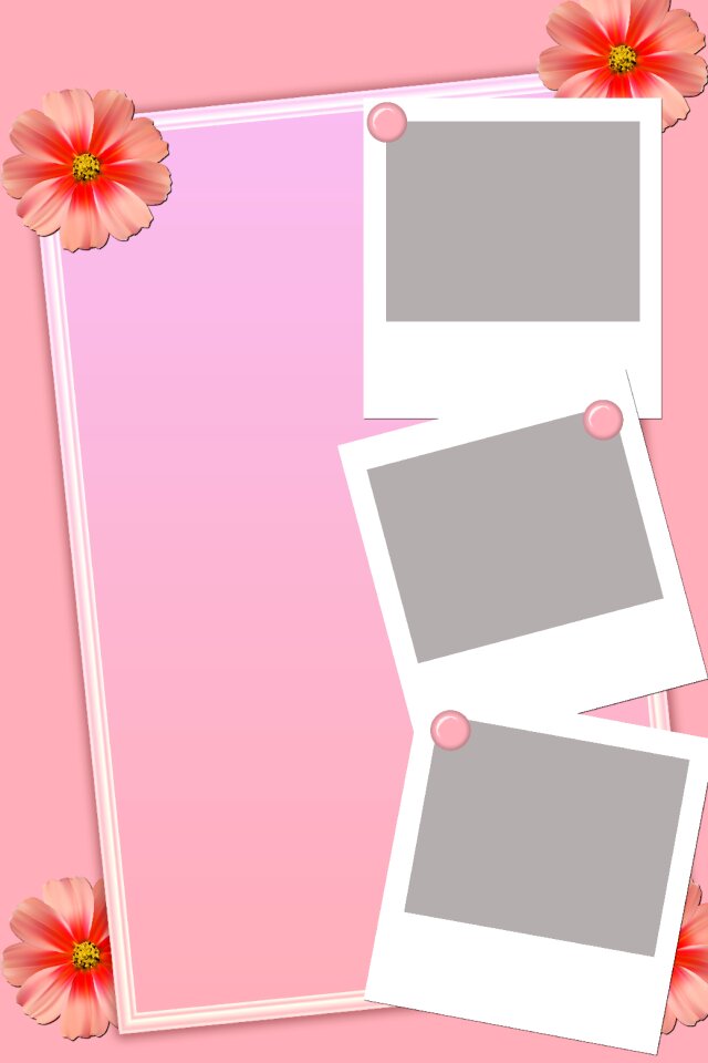 Design flowers pink background