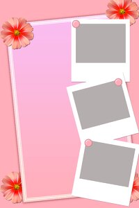 Design flowers pink background