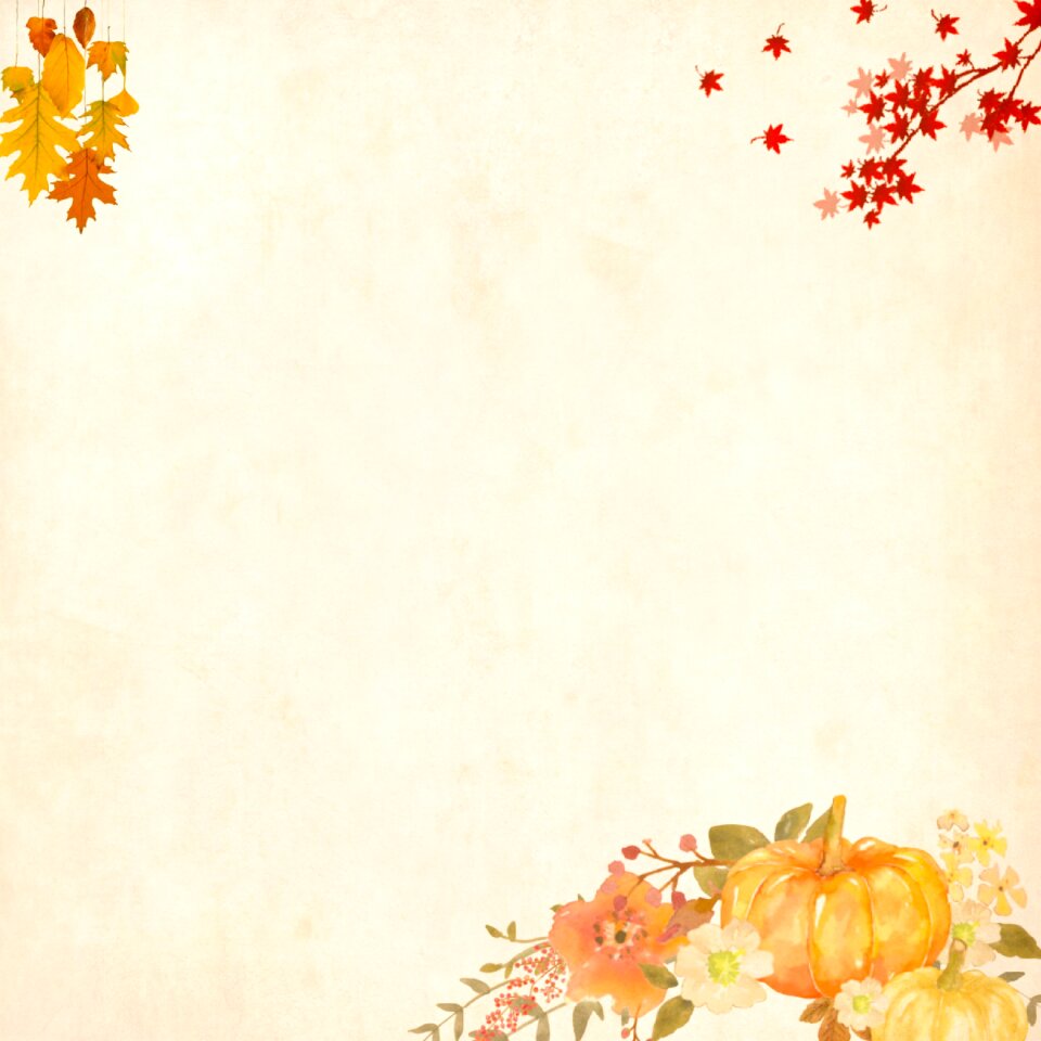 Roses bouquet floral