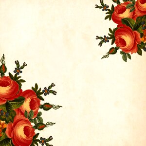 Roses bouquet floral