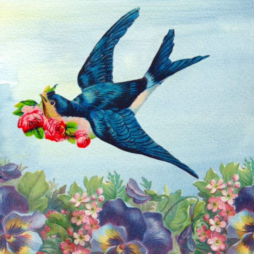 Animal romantic vintage