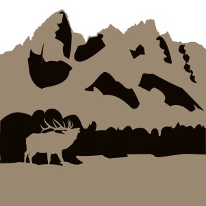 Park wyoming nature