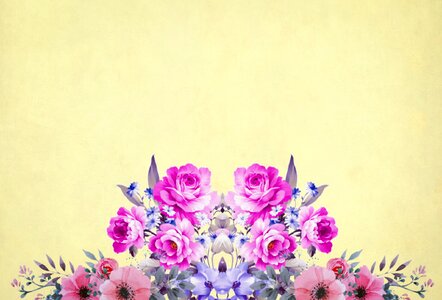 Roses bouquet floral