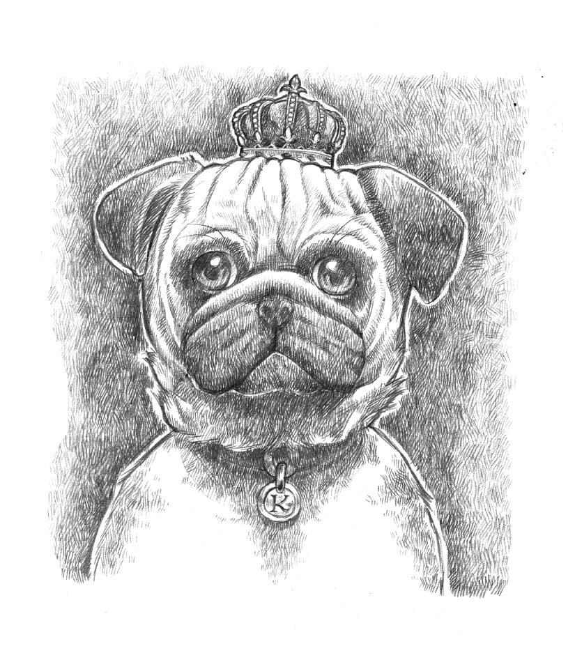 Drawing dog Free illustrations