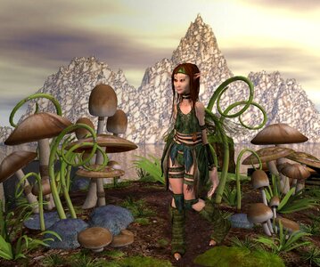 Female fairy plant