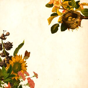 Roses bouquet floral