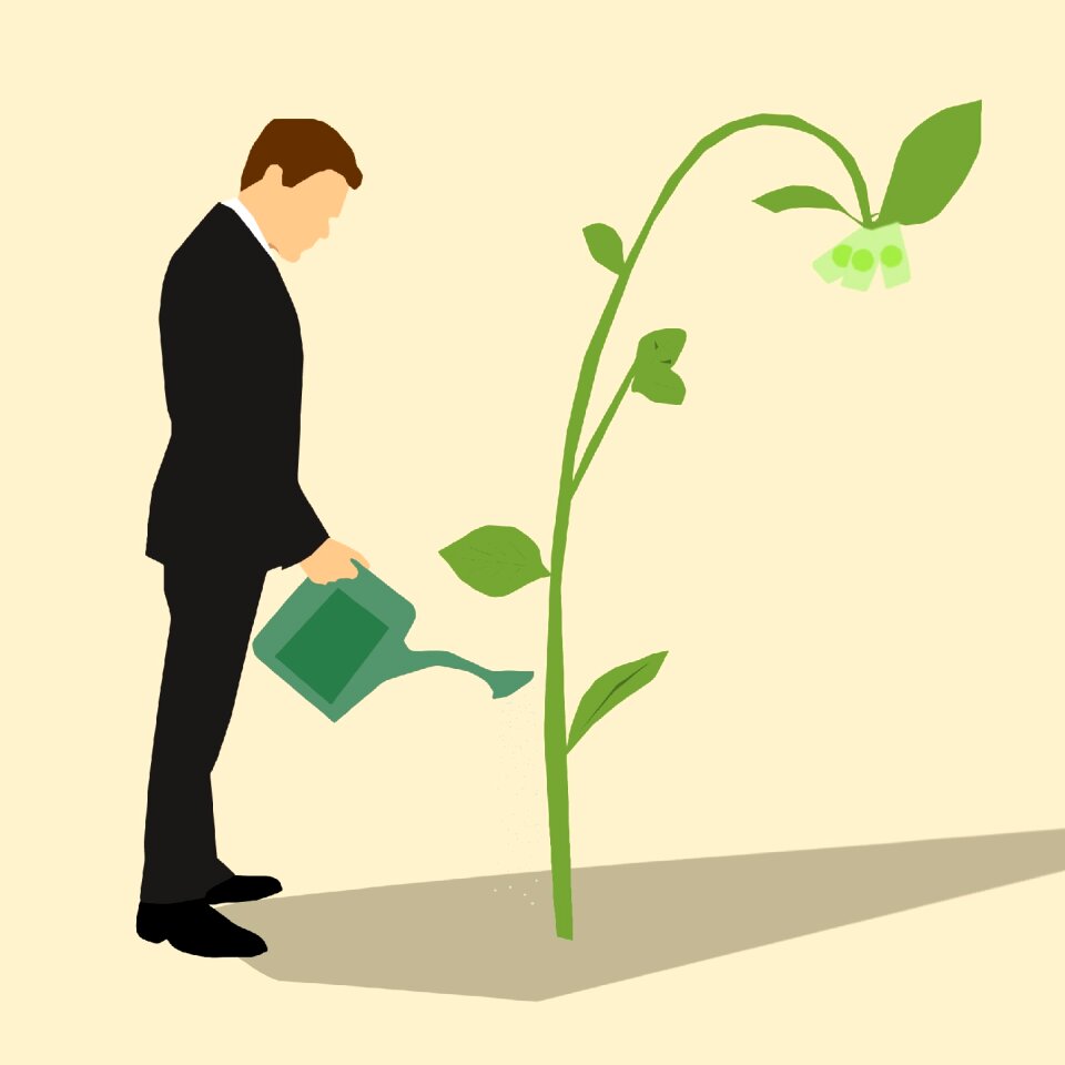 T watering cash flower