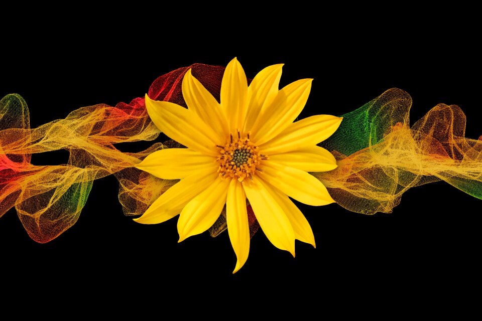 Particles color ribbon