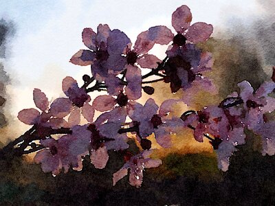 Bloom art Free illustrations