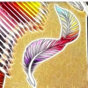 Feathers form Free illustrations