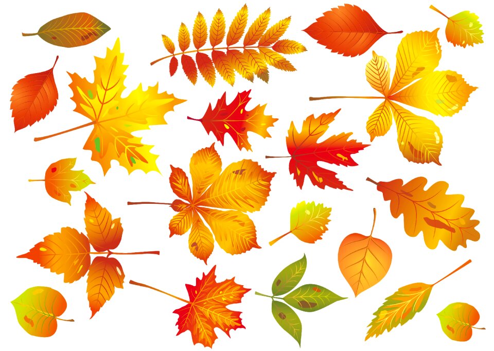 Nature season Free illustrations