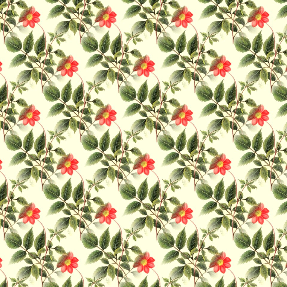 Decorative summer Free illustrations