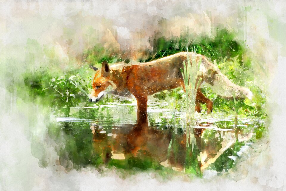 Nature cartoon drawing