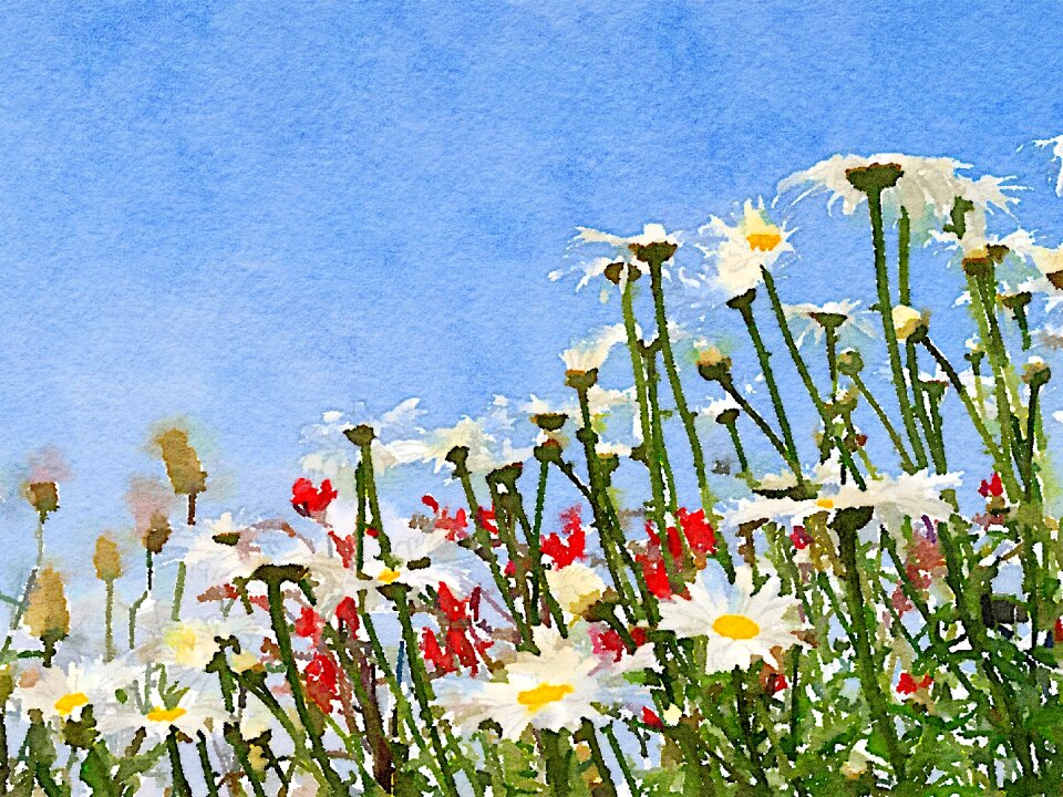 Art blue watercolor Free illustrations