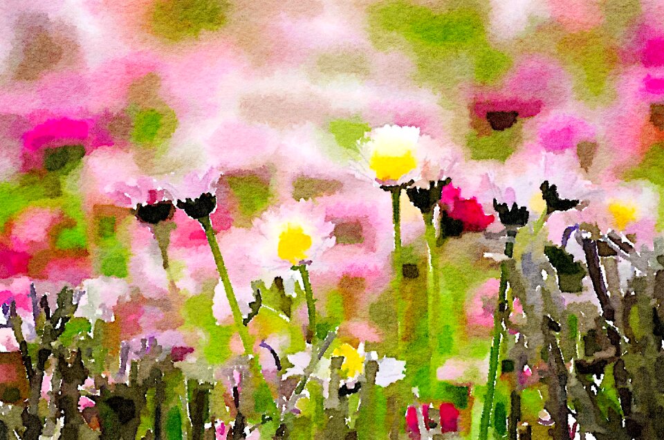 Bloom art Free illustrations