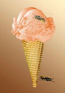 Strawberry ice cream ice ball waffle cone