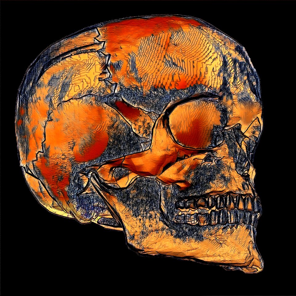 Face bones Free illustrations