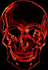 Face bones Free illustrations